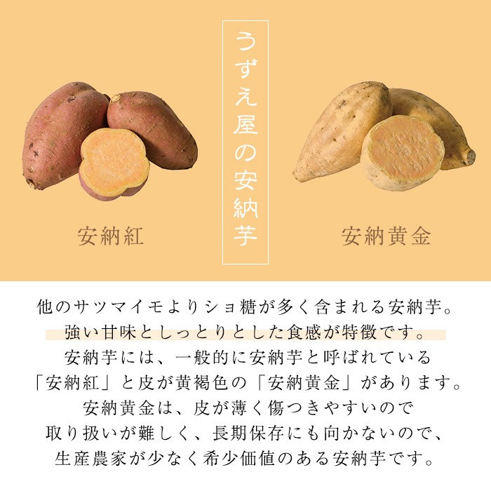 n384 æééå®ïŒçš®åå³¶ç£ å®çŽèïŒçŽ
ïŒ(3kg) åœç£ å®çŽè çŽ
çš®åå³¶ è ã€ã¢ ãã€ãŸè å®çŽãã éè çŒãè çŒè ããããå±ã