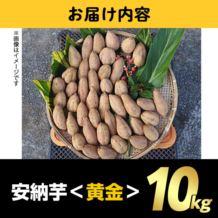 n083 ＜期間限定・数量限定！＞種子島産 安納芋＜黄金＞(10kg)【うずえ屋】