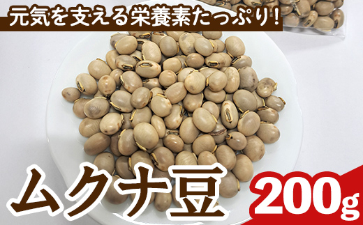 n428 数量限定！種子島産 ムクナ豆(200g) 国産 八升豆 ハッショウマメ 豆 マメ 自然栽培 野菜 【永濱農園】