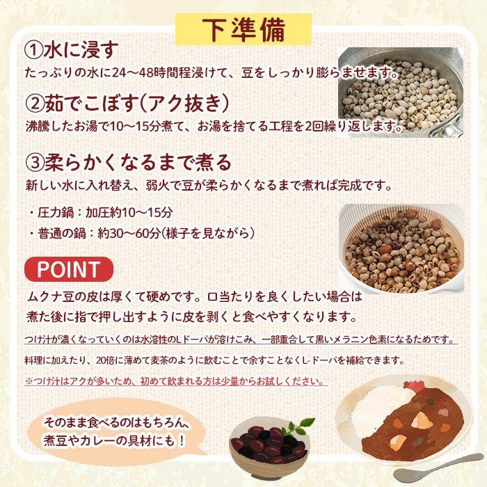 n428 数量限定！種子島産 ムクナ豆(200g) 国産 八升豆 ハッショウマメ 豆 マメ 自然栽培 野菜 【永濱農園】