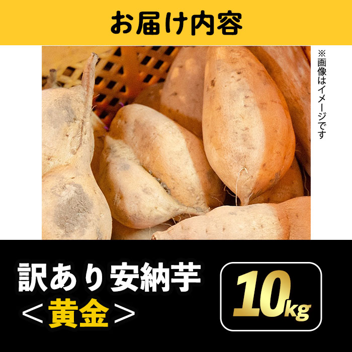 n278 《訳あり》期間限定・数量限定！種子島産 安納芋＜黄金＞(10kg)【うずえ屋】