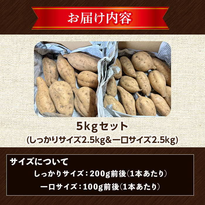 n331 ＜期間限定！＞種子島産 安納こがね(5kgセット) 国産 安納芋 黄金本場 種子島 芋 イモ いも さつまいも さつま芋 安納いも 野菜 【なかたね農産】