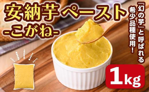 n457 安納芋(安納こがね) ペースト(1kg×1P) 国産 安納芋 芋 いも イモ さつまいも さつま芋 安納いもペースト 小分け 真空パック 野菜 お菓子作り 製菓材料 冷凍 【なかたね農産】