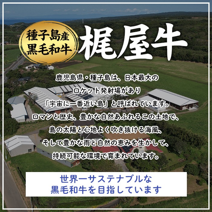 n408 梶å±ç ãªãããŒã¹ã¹ããŒã(çŽ300g) 黿¯åç åœç£ ä¹å·ç£ 鹿å
å³¶çç£ çè è ããŒã 倩ç¶é£Œæ ãµã¹ãããã« åç ãç¥ã ãæ ªåŒäŒç€ŸCalfieldsã