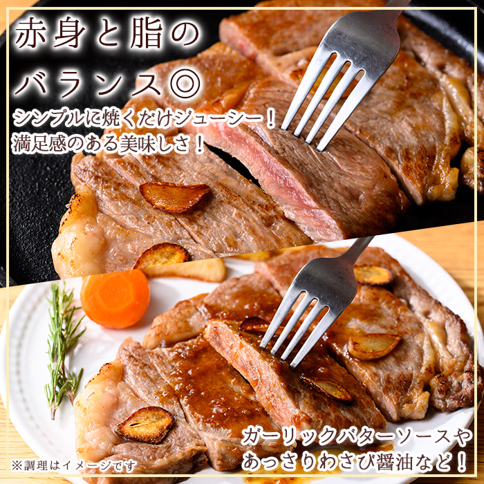 n408 梶å±ç ãªãããŒã¹ã¹ããŒã(çŽ300g) 黿¯åç åœç£ ä¹å·ç£ 鹿å
å³¶çç£ çè è ããŒã 倩ç¶é£Œæ ãµã¹ãããã« åç ãç¥ã ãæ ªåŒäŒç€ŸCalfieldsã