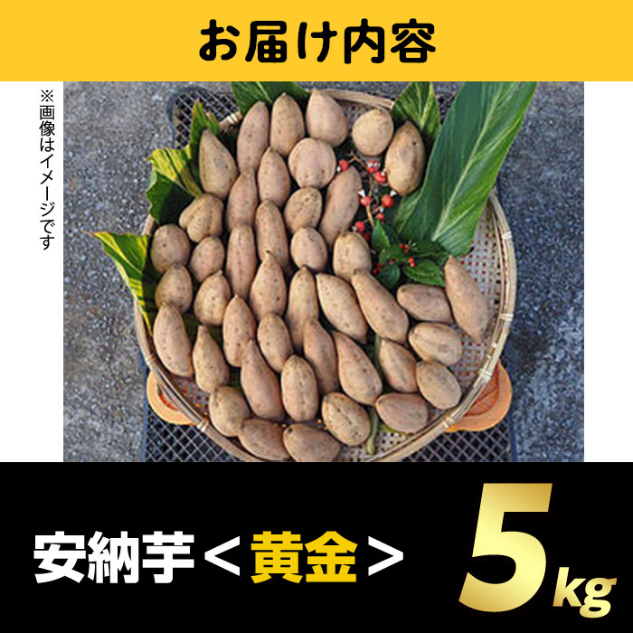 n174 ＜期間限定・数量限定！＞種子島産 安納芋＜黄金＞(5kg)【うずえ屋】