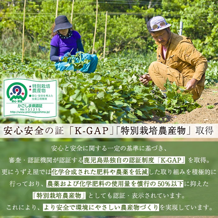 n384 æééå®ïŒçš®åå³¶ç£ å®çŽèïŒçŽ
ïŒ(3kg) åœç£ å®çŽè çŽ
çš®åå³¶ è ã€ã¢ ãã€ãŸè å®çŽãã éè çŒãè çŒè ããããå±ã