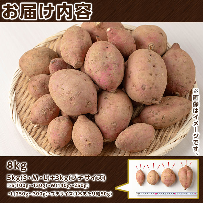 n225 æ°ééå®ïŒçš®åå³¶ç£ å®çŽè(5kg+ãããµã€ãº3kg) åœç£ å®çŽè çŽ
çš®åå³¶ è ã€ã¢ ãã ãã€ãŸãã ãã€ãŸè å®çŽãã ã»ãã è©°ãåãã ã¹ã€ãŒã éè ãçš®åå³¶å®çŽå€§å°ã