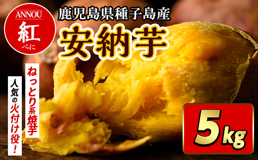n175 [期間限定!先行予約受付中!2025年10月下旬頃から12月中の発送予定]種子島産 安納芋[紅](5kg) 国産 安納芋 紅 種子島 芋 イモ さつま芋 安納いも 野菜 焼き芋 焼芋 [うずえ屋]