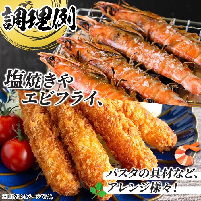 n430 鹿児島県産！活き〆冷凍車海老(LLサイズ・計約600g) 化粧箱入り！ くるまえび 海老 海鮮 海産物 国産 九州産 急速冷凍 ギフト 車海老 真空パック 養殖 冷凍 【車海老日本株式会社】
