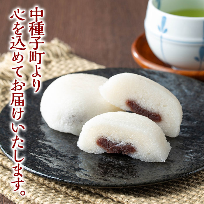 n307 鹿å
å³¶éèïŒæãªããã®ããããé¥
é (èš12åã»2åå
¥Ã6ããã¯) â»åæµ·éã»æ²çžé
éäžå¯â» ãå±±ç°è£œèæ¬èã