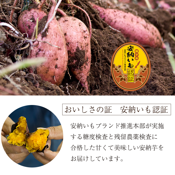 n174 ＜期間限定・数量限定！＞種子島産 安納芋＜黄金＞(5kg)【うずえ屋】