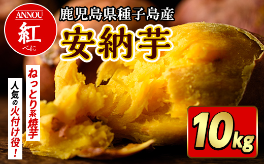n082 期間限定！種子島産 安納芋＜紅＞(10kg) 国産 安納芋 紅 種子島 芋 イモ さつま芋 安納いも 野菜 焼き芋 焼芋 【うずえ屋】