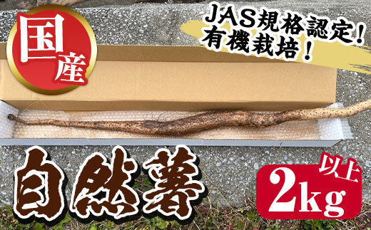 n315 JAS規格認定！有機栽培 自然薯(計2kg以上・不揃い数本) 国産 鹿児島県産 種子島 山芋 芋 いも 出世イモ とろろ トロロ じねんじょ ジネンジョウ ジネンジョ ヤマイモ 【宮内農園】