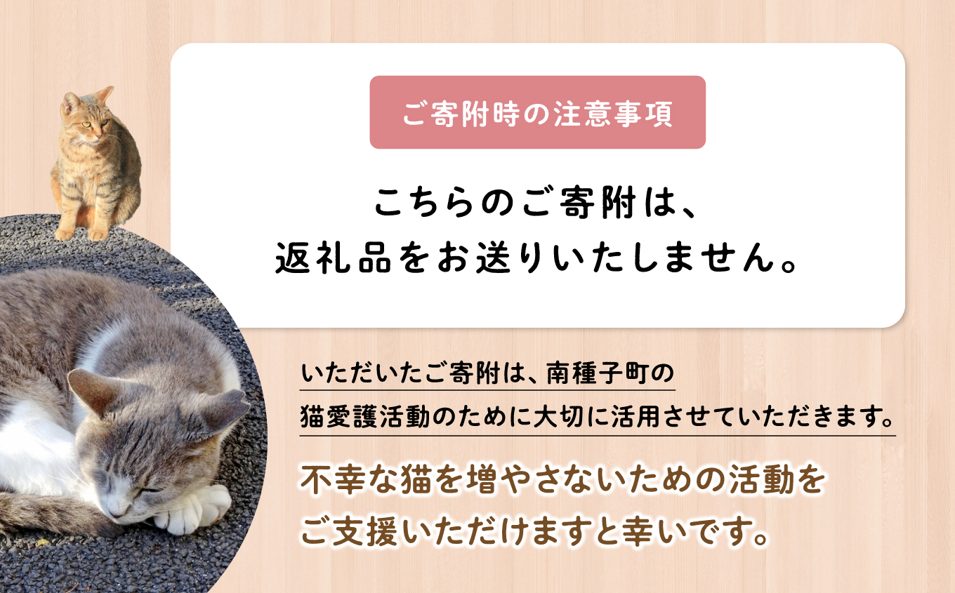 《返礼品なし》 猫愛護活動支援 5,000円 猫ちゃん 猫 ねこ 動物 保護 愛護 保護活動 応援 支援 寄付 南種子町 鹿児島 かごしま