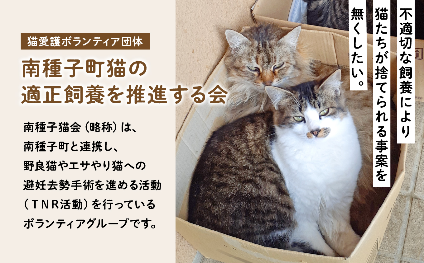 《返礼品なし》 猫愛護活動支援 10,000円 猫ちゃん 猫 ねこ 動物 保護 愛護 保護活動 応援 支援 寄付 南種子町 鹿児島 かごしま