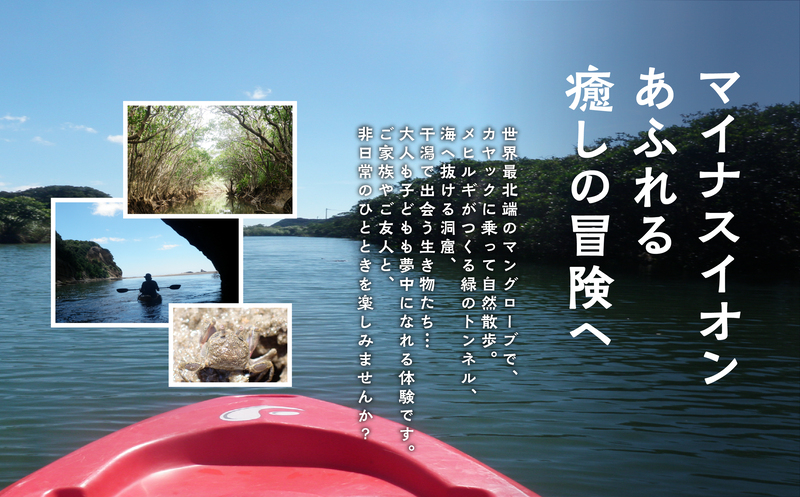 (3蜷肴ァ) 繝槭Φ繧ー繝ュ繝シ繝悶き繝、繝繧ッ菴馴ィ薙殖LUE PEACE遞ョ蟄仙ウカ縲