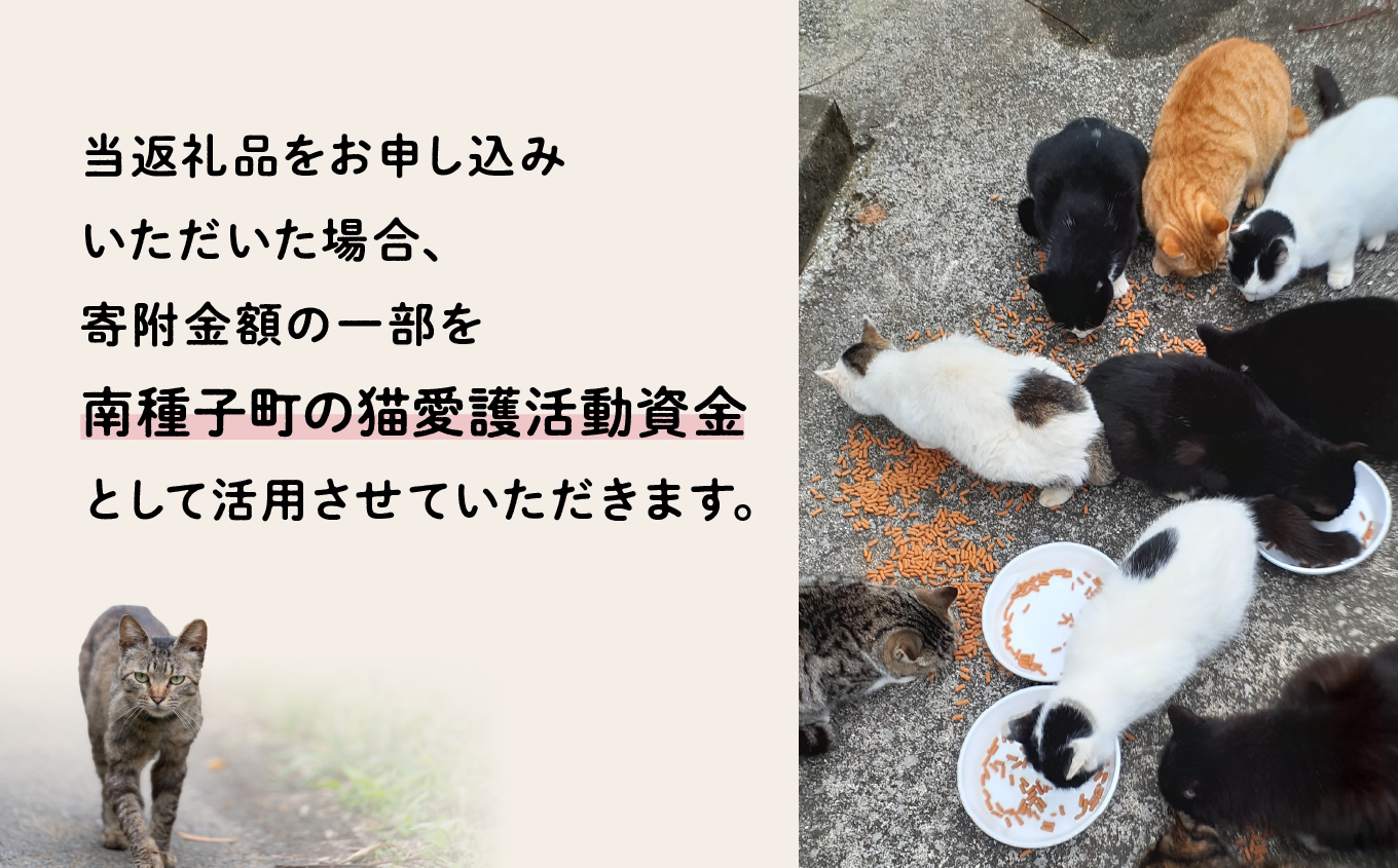 《返礼品なし》 猫愛護活動支援 10,000円 猫ちゃん 猫 ねこ 動物 保護 愛護 保護活動 応援 支援 寄付 南種子町 鹿児島 かごしま