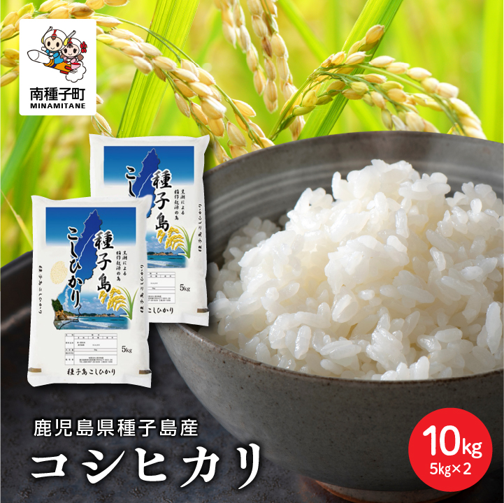 【先行予約】《令和8年産米 新米》 種子島産コシヒカリ10kg（5kg×2）【8月上旬より順次発送予定】【新栄物産】