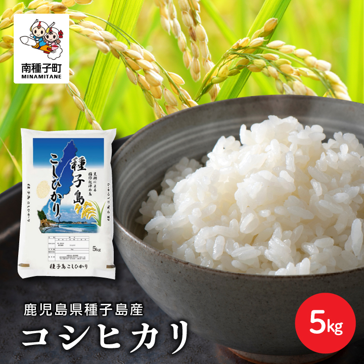 【先行予約】《令和8年産米 新米》 種子島産コシヒカリ5kg 【8月上旬より順次発送予定】【新栄物産】