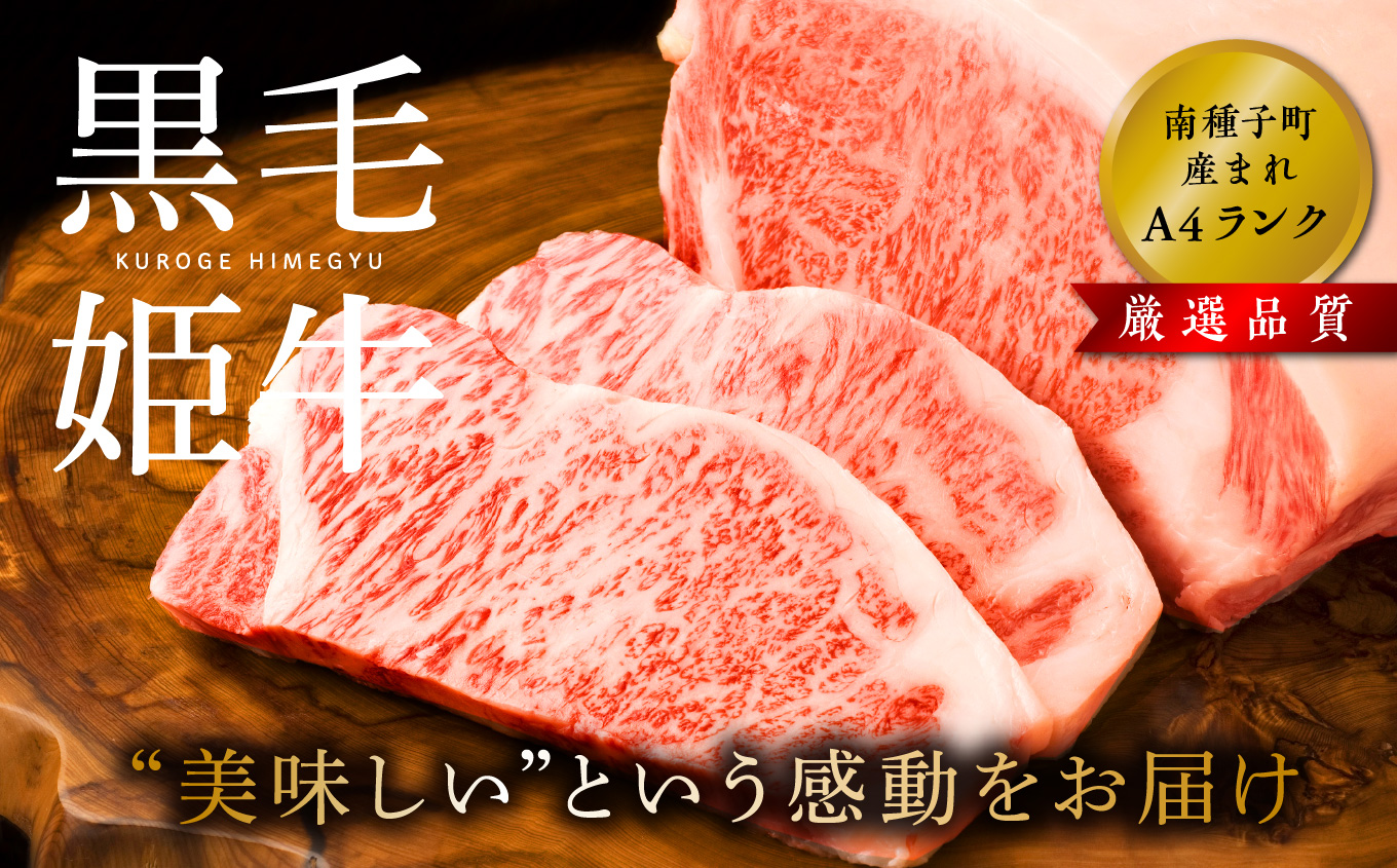 【定期便】焼肉・しゃぶしゃぶ・すき焼きセット（全12回）【Meat you Kitchen姫ファーム】