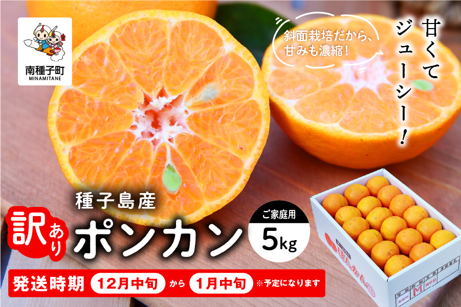 《 先行予約 》種子島産 ポンカン (ご家庭用) 約5kg (24玉〜36玉)《2026年12月中旬頃〜1月中旬頃順次発送》【南種子町果樹部会】