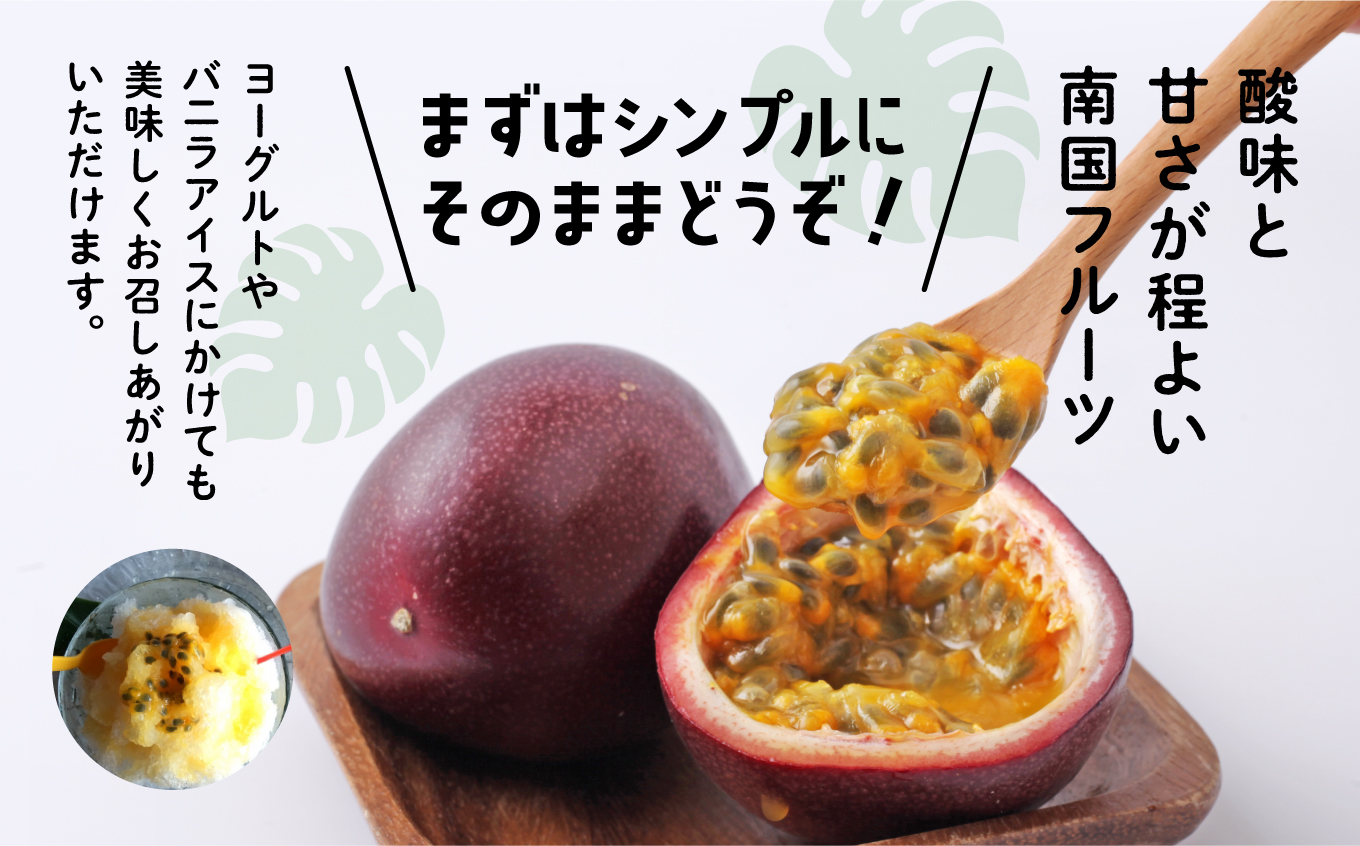 《先行予約 令和7年度》 種子島産パッションフルーツ1ケース （12個入り）【新栄物産】