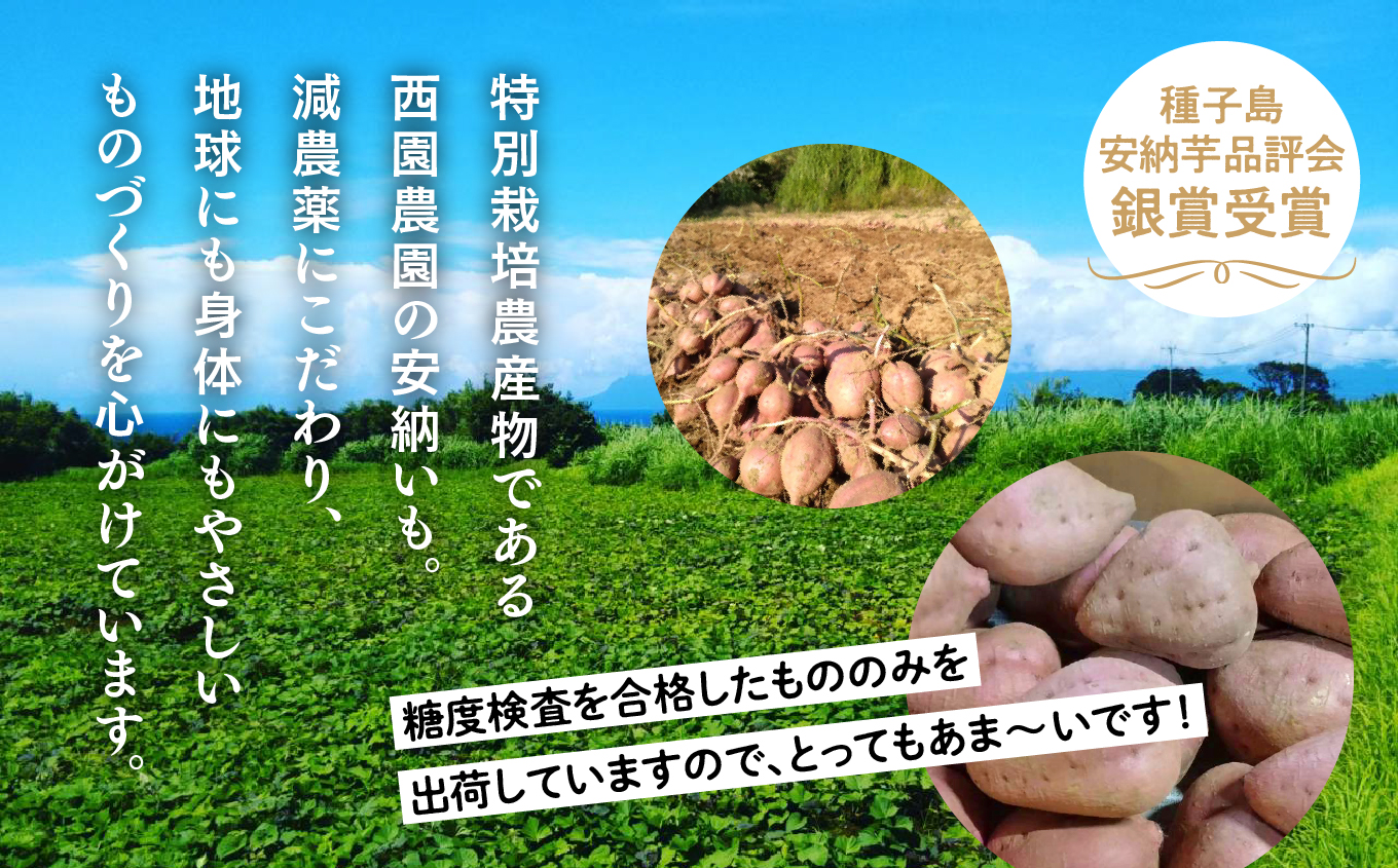 ãå
è¡äºçŽããå®æäŸ¿ã çš®åå³¶ æ¬é®®ã»ãã å
š3å å®çŽè ã¹ããããšã³ã㊠ã¿ã³ã«ã³ äººæ° çš®åå³¶ç£ è¿ç€Œå åçš®åçº é¹¿å
å³¶ ããã㟠ãã®ã£ã¡ãŒãçš®åå³¶ã
