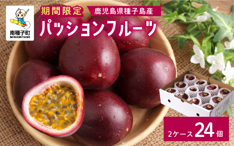 《令和年産》 種子島産パッションフルーツ2ケース （24個入り）【新栄物産】