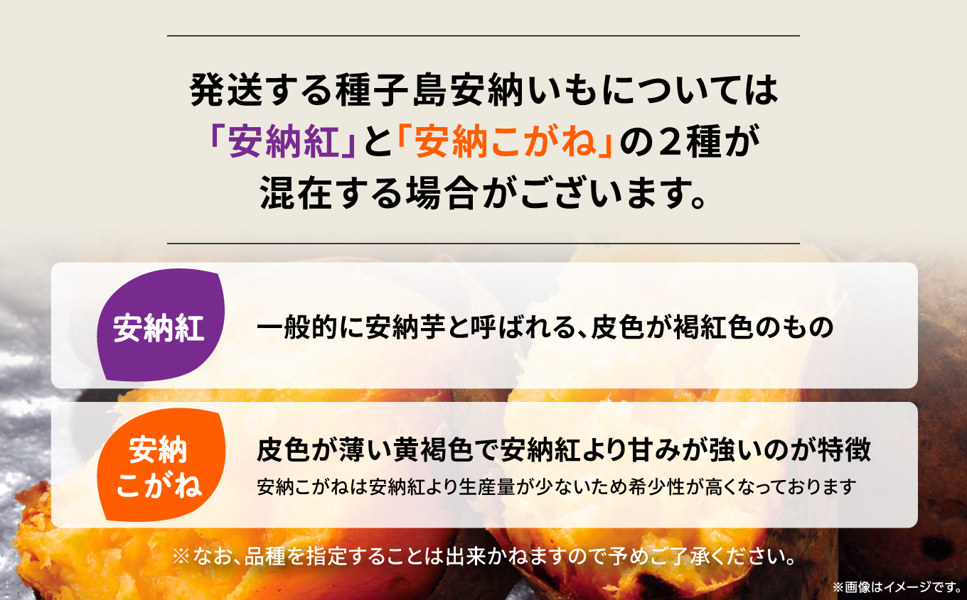 【先行予約】種子島 安納いも さつまいも 3kg 焼きいも 焼き芋 本場 安納芋 さつま芋 甘い ねっとり スイーツ おやつ グルメ お取り寄せ おせち 人気 種子島産 返礼品 南種子町 鹿児島 かごしま 【観光物産館トンミー市場】