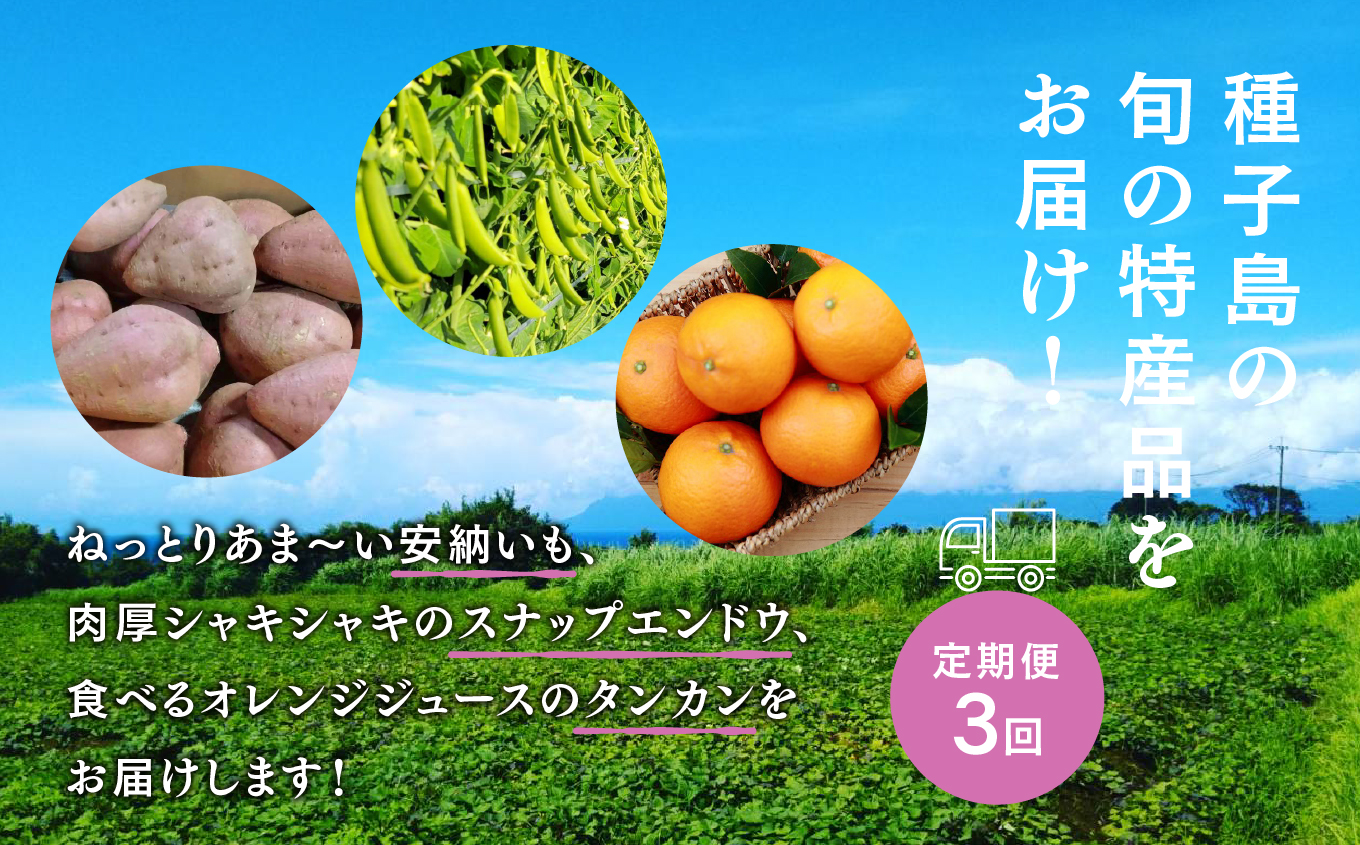 ãå
è¡äºçŽããå®æäŸ¿ã çš®åå³¶ æ¬é®®ã»ãã å
š3å å®çŽè ã¹ããããšã³ã㊠ã¿ã³ã«ã³ äººæ° çš®åå³¶ç£ è¿ç€Œå åçš®åçº é¹¿å
å³¶ ããã㟠ãã®ã£ã¡ãŒãçš®åå³¶ã