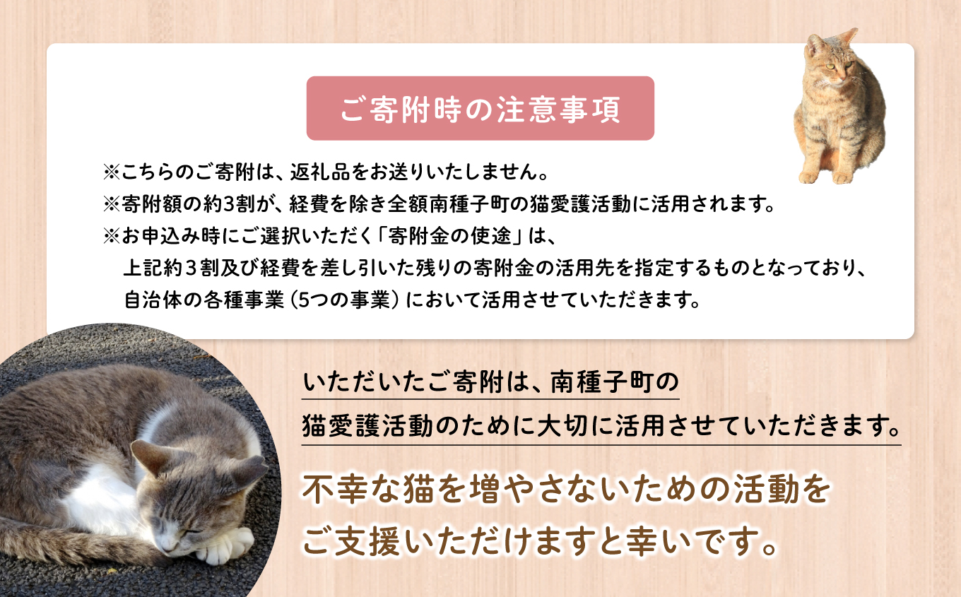 《返礼品なし》 猫愛護活動支援 3,000円 猫ちゃん 猫 ねこ 動物 保護 愛護 保護活動 応援 支援 寄付 南種子町 鹿児島 かごしま