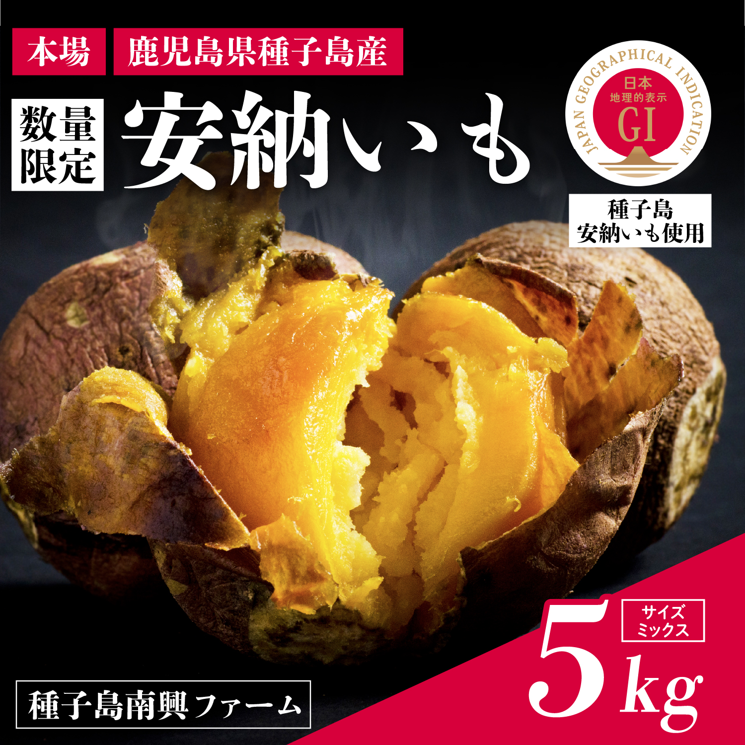 【先行予約】種子島 安納いも 5kg（S〜Lサイズ：100g〜400g）（南興ファーム）さつまいも 本場 安納芋 安納紅 安納こがね さつま芋 甘い ねっとり スイーツ おやつ グルメ お取り寄せ 人気 種子島産 返礼品 南種子町 鹿児島【南種子町観光物産館 トンミー市場】