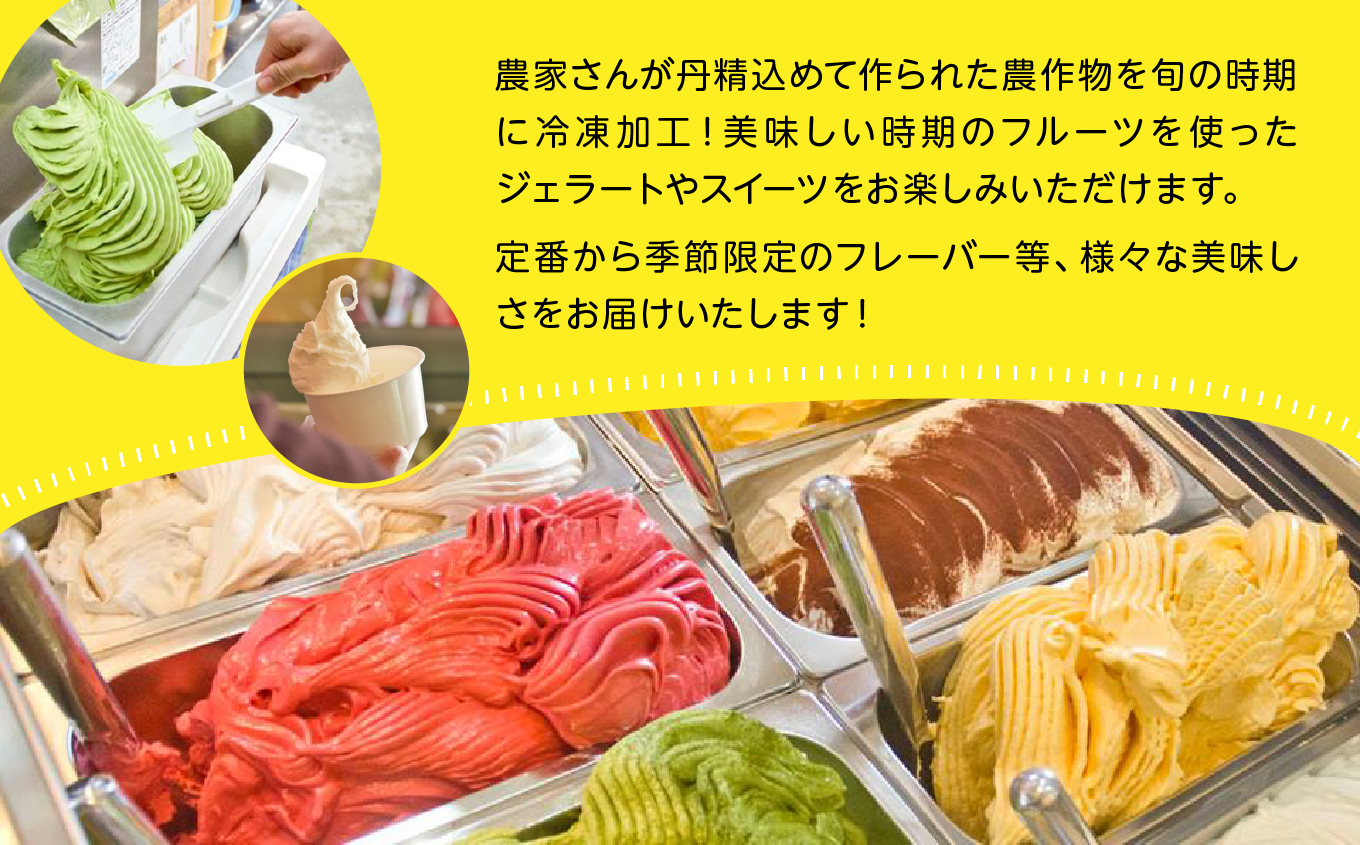 ジェラート定期便6回【種子島ジェラートＨＯＰＥ】