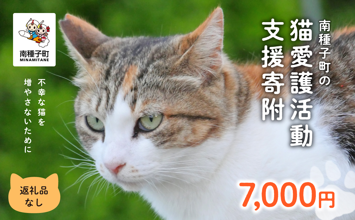 《返礼品なし》 猫愛護活動支援 7,000円 猫ちゃん 猫 ねこ 動物 保護 愛護 保護活動 応援 支援 寄付 南種子町 鹿児島 かごしま