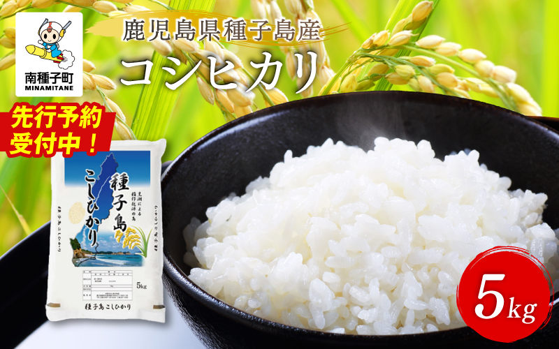 【先行予約】《令和8年産米 新米》 【8月上旬より順次発送予定】種子島産コシヒカリ5kg 【新栄物産】