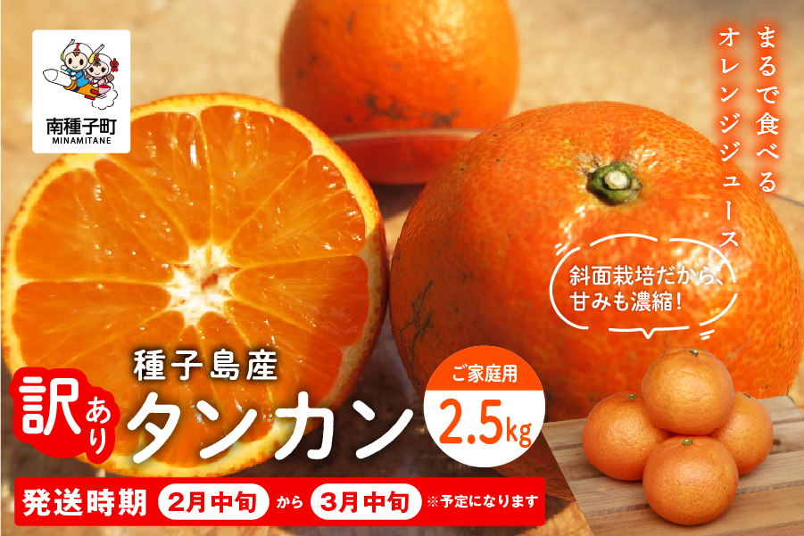 《 先行予約 》種子島産 タンカン (ご家庭用)約2.5kg（12〜18玉）【2027年2月中旬〜3月中旬頃順次発送】【南種子町果樹部会】