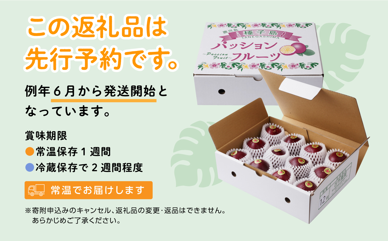 《先行予約 令和7年度》 種子島産パッションフルーツ1ケース （12個入り）【新栄物産】