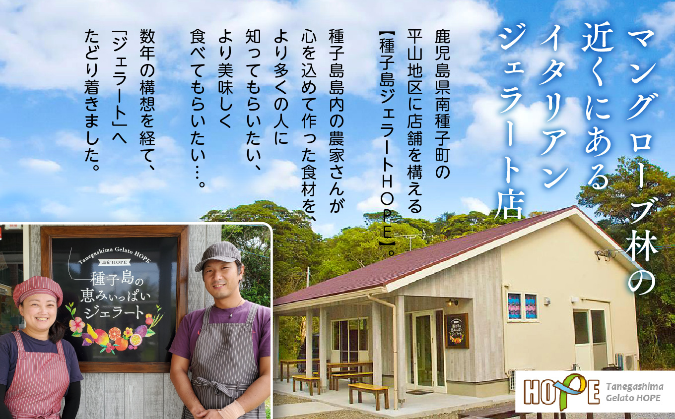 ãžã§ã©ãŒãå®æäŸ¿12åãçš®åå³¶ãžã§ã©ãŒãã