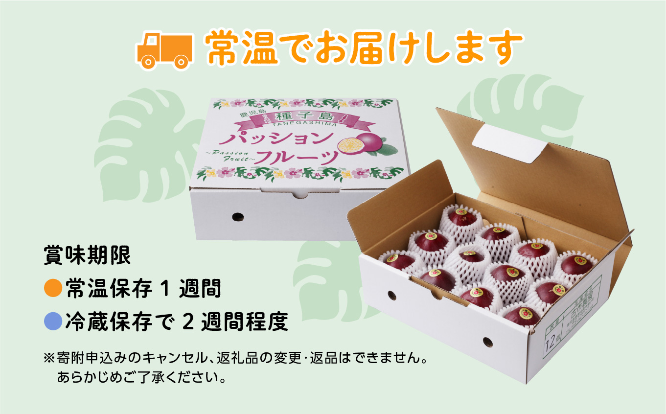 《先行予約 令和7年産》 種子島産パッションフルーツ2ケース （24個入り）【新栄物産】