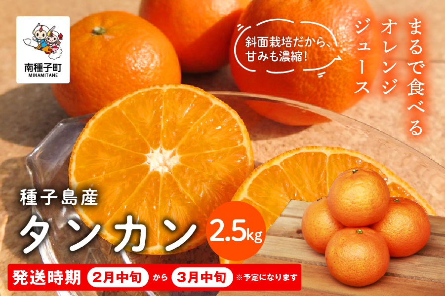 《 先行予約 》種子島産 タンカン 約2.5kg（12〜18玉）【2月中旬〜3月中旬頃順次発送】【南種子町果樹部会】