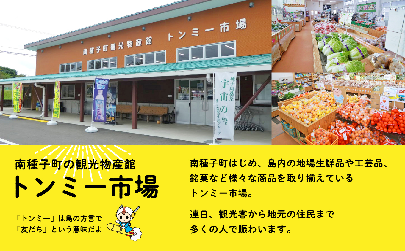 《先行予約》 種子島 安納いも さつまいも 5kg 焼きいも 焼き芋 本場 安納芋 Qさま キューさま さつま芋 甘い ねっとり スイーツ おやつ グルメ お取り寄せ おせち 人気 種子島産 返礼品 南種子町 鹿児島 かごしま 【観光物産館トンミー市場】