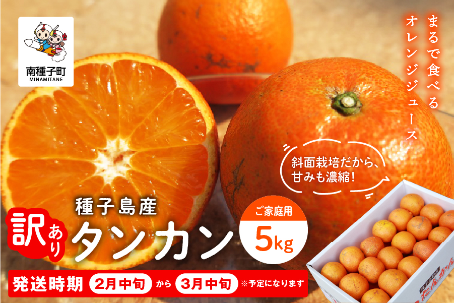 《 先行予約 》種子島産 タンカン (ご家庭用) 約5kg (24玉〜36玉)【2027年2月中旬〜3月中旬頃順次発送】【南種子町果樹部会】