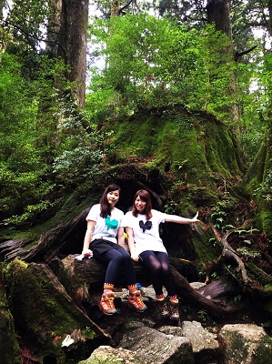 屋久島ウィルソン株ハートTシャツ (黒地／女性Lサイズ)