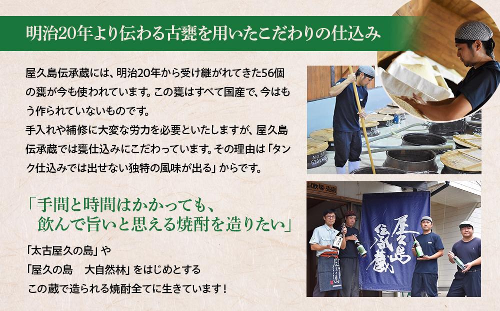 【屋久島限定】屋久島たんかん酒500ml×3本＜本坊酒造 屋久島伝承蔵＞