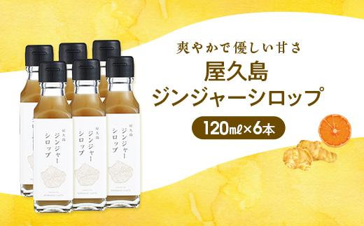 螻倶ケ蟲カ繧ク繝ウ繧ク繝」繝シ繧キ繝ュ繝繝 蟆(120ml)テ6譛ャ繧サ繝繝