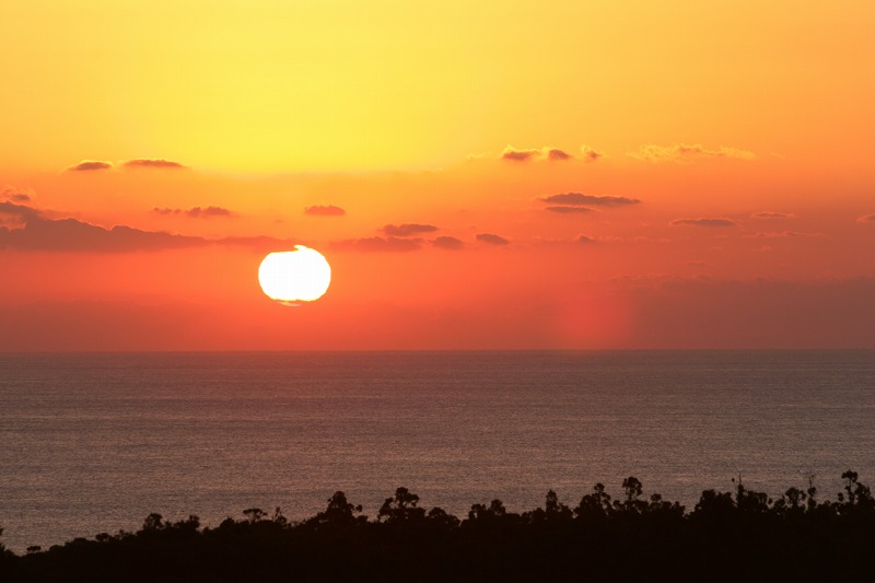 屋久島プライベート＆カスタマイズツアー