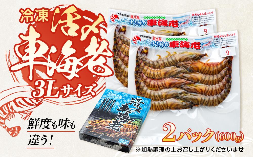 鹿児島県産 活き〆冷凍 車海老（養殖）3Lサイズ 計600g（300g 7～9尾×2パック）セット