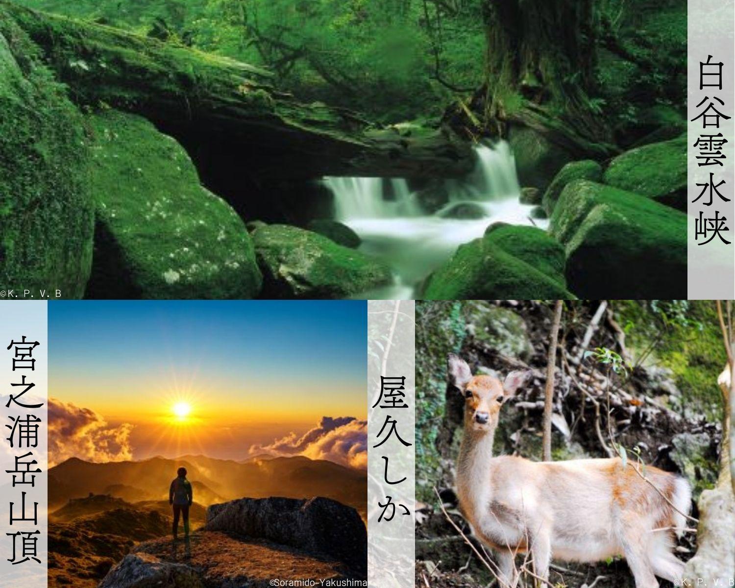 屋久島町に泊まるふるさと納税旅行クーポン【9,000円分】