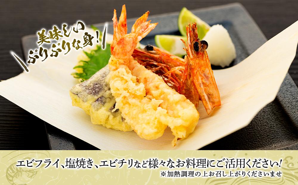 鹿児島県産 活き〆冷凍 車海老（養殖）Lサイズ 計600g（300g 14～16尾2パック）セット